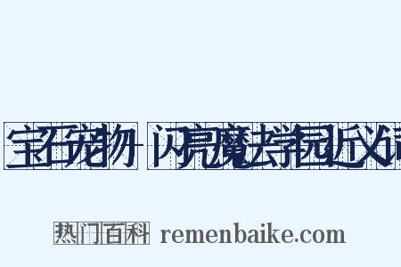 宝石宠物+闪亮魔法学园近义词是什么意思的图片